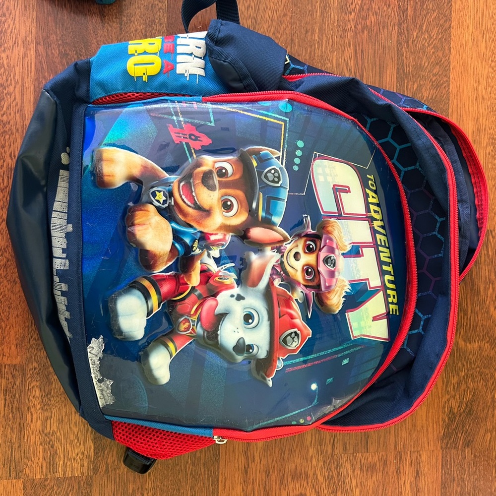 Mickey & Paw Patrol